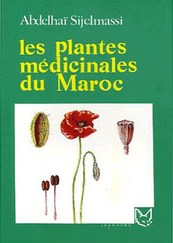 Charme Du Maroc