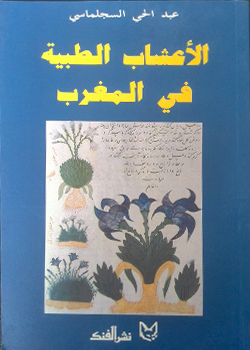 Charme Du Maroc